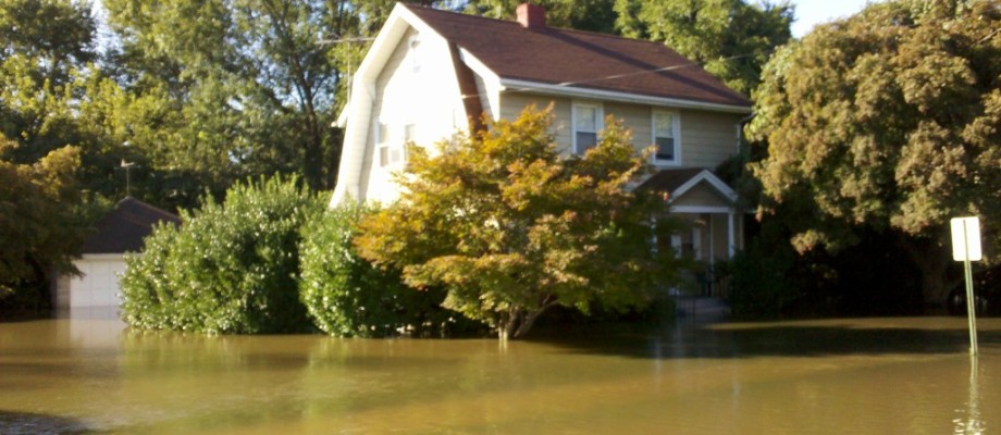 Water Damage Bellevue WA